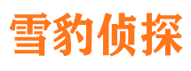 川汇侦探